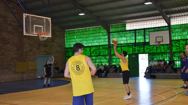 Bàsquet - Lligues Universitàries de Barcelona
